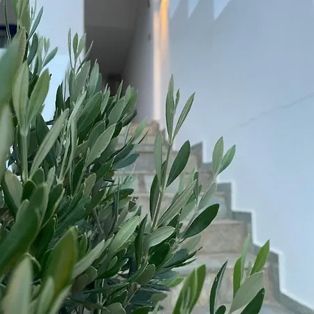 Maniati Chrissi Ammos *