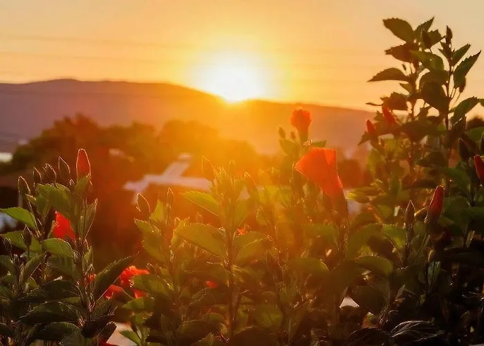 Maniati Chrissi Ammos